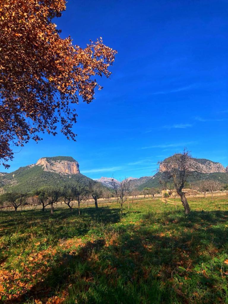 Son Ribes * Alaró